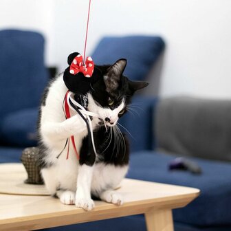 Kattenspeeltje Minnie Mouse Zwart 2