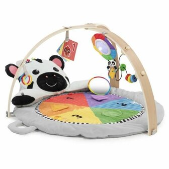 Speelkleed Baby Einstein 1