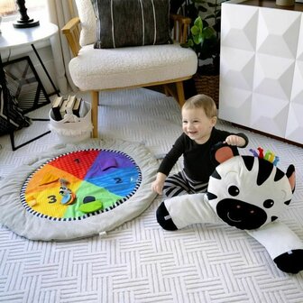 Speelkleed Baby Einstein 3