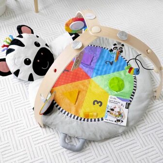 Speelkleed Baby Einstein 4