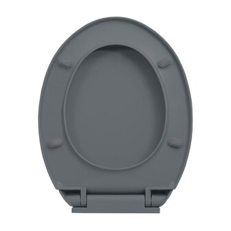 Toiletbril soft-close ovaal grijs 6