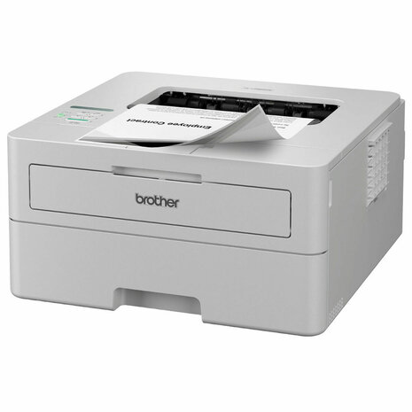 Laserprinter Brother HLL2865DWRE1 2