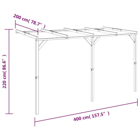 Pergola 2x4x2,2 m hout 6