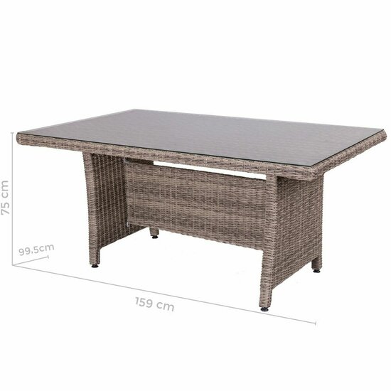 Eettafel Patsy 160 x 100 x 75 cm Kristal Rotan 2