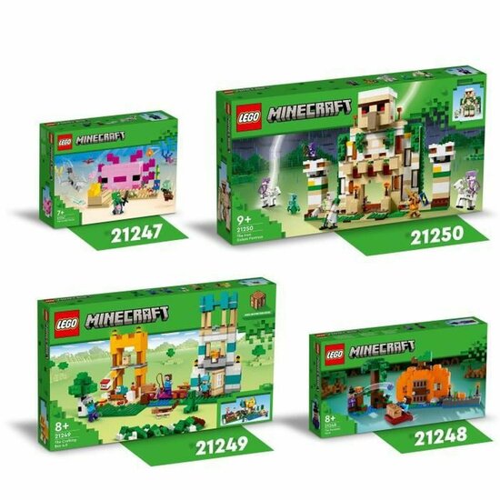 Playset Lego 21247 Minecraft 3