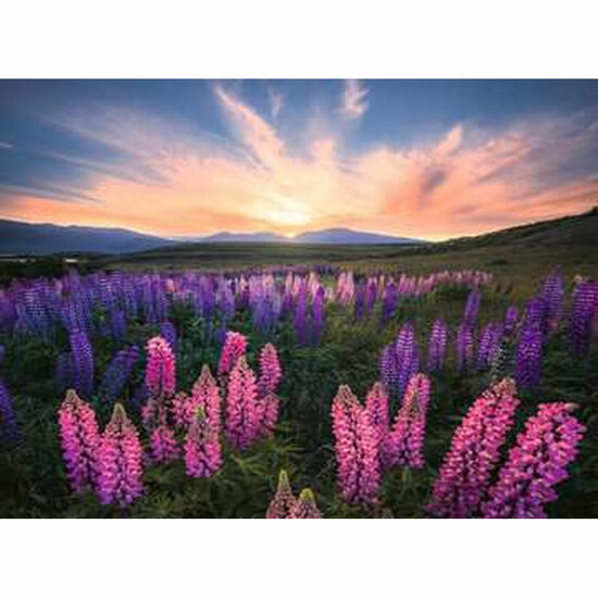 Puzzel Ravensburger 17492 Lupines 500 Onderdelen 3