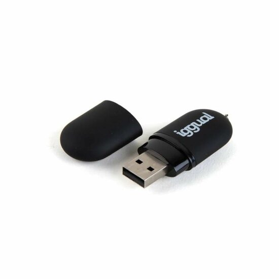 USB stick iggual IGG318492 Zwart USB 2.0 x 1 3