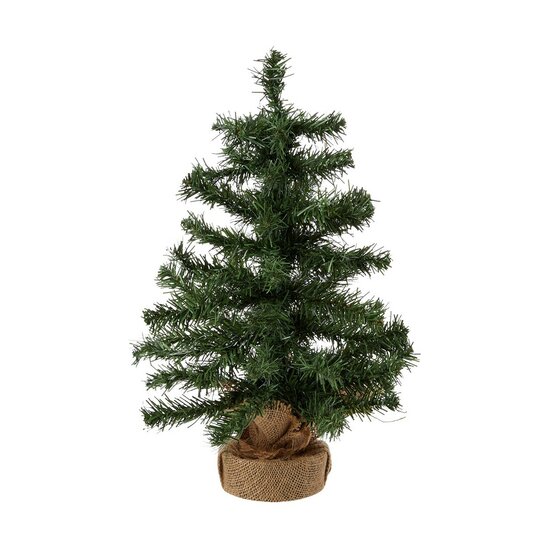 Kerstboom Everlands Groen (60 cm) 1