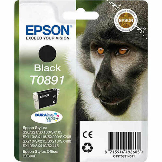 Originele inktcartridge Epson C13T08914011 Zwart 1