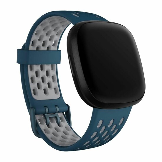 Smartwatch Fitbit Blauw 2