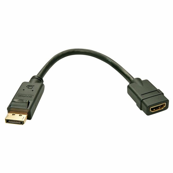 Adapter DisplayPort naar HDMI LINDY 41005 Zwart 15 cm 1