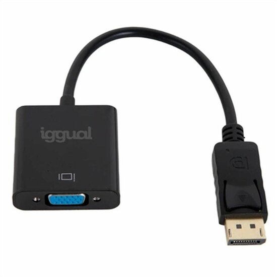 Adapter DisplayPort naar VGA iggual IGG319062 1