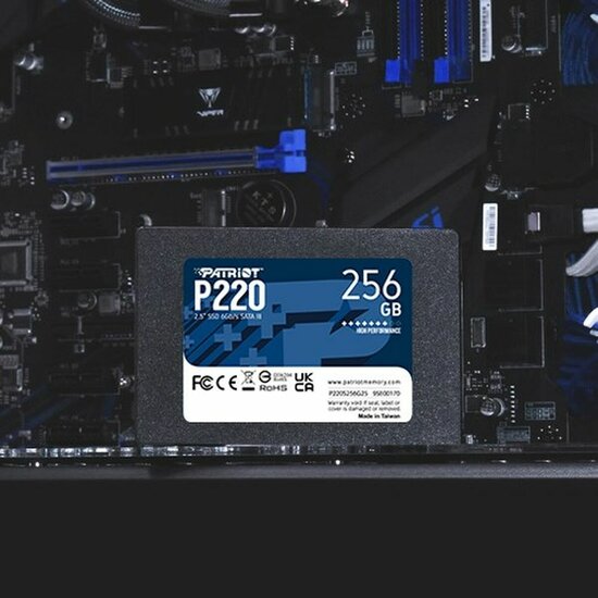 Hard Drive Patriot Memory P220 256GB 256 GB SSD 3