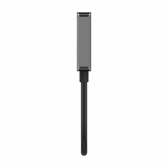 Adapter DisplayPort naar HDMI Belkin AVC011BTSGY-BL Zwart 22 cm 4