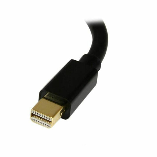 Mini DisplayPort naar DisplayPort-Adapter Startech MDP2DPMF6IN          Zwart 2