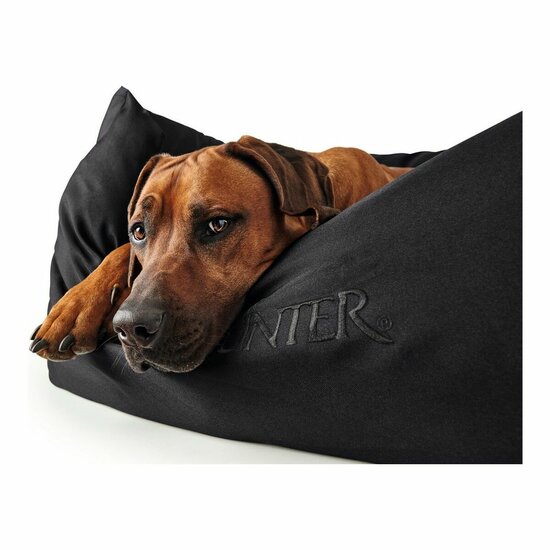 Bank voor honden Hunter Gent Zwart Polyester black (60 x 45 cm) 6