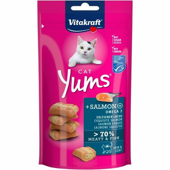 Kattensnoepjes Vitakraft Cat Yums Salmon Vis 40 g 1