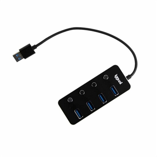 USB-HUB iggual IGG318478 1