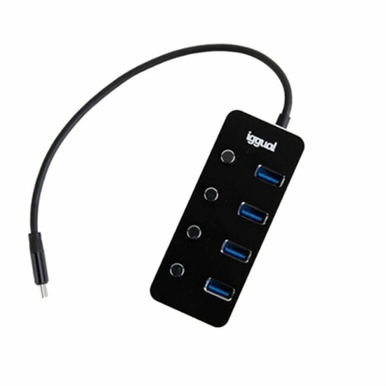 USB-HUB iggual IGG318485 1