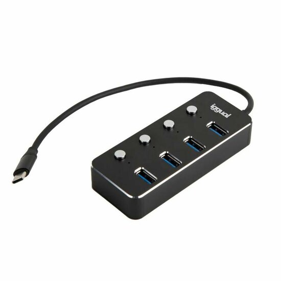 USB-HUB iggual IGG318485 2