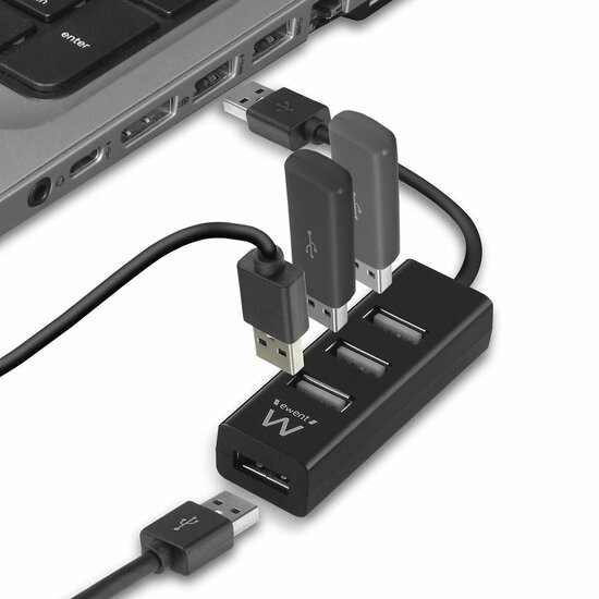 USB-HUB Ewent EW1123 Zwart 1