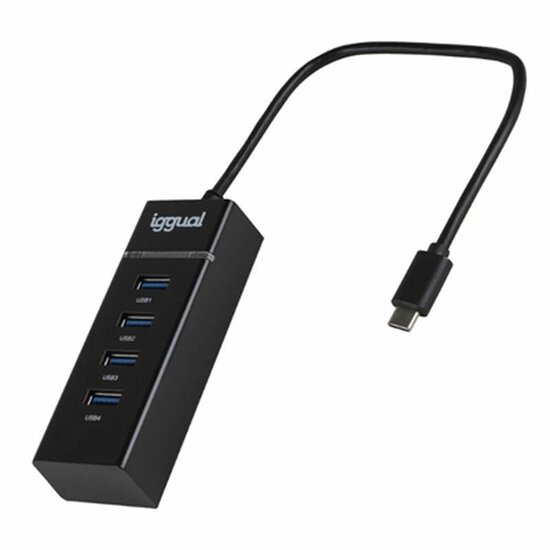 USB-HUB iggual IGG319239 1