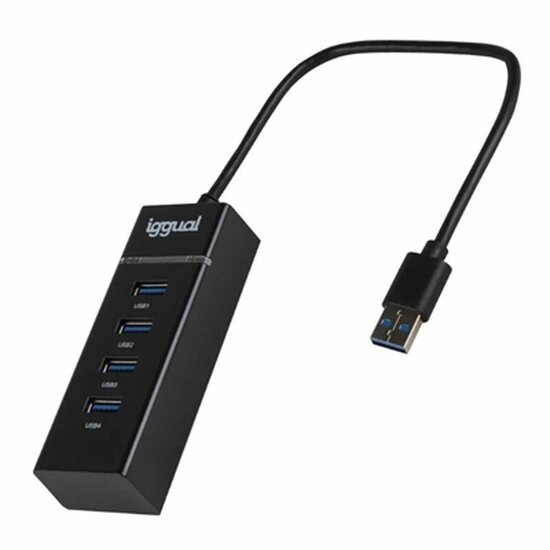 USB-HUB iggual IGG319246 1