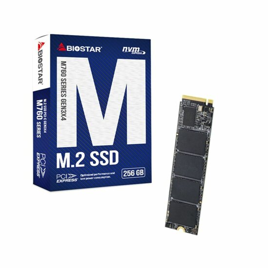 Hard Drive Biostar M760 256 GB SSD 1