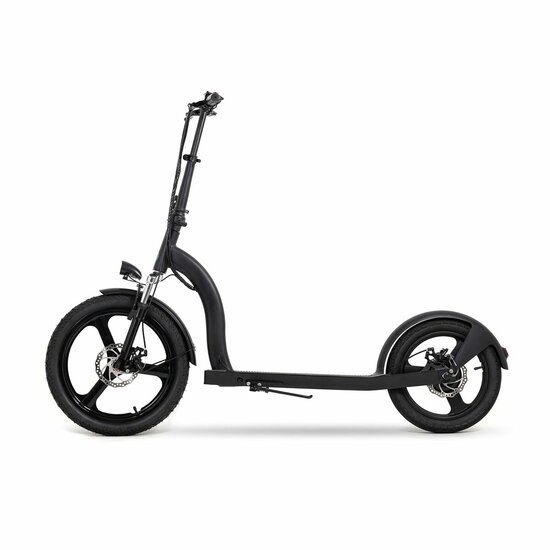 Elektrische Step Youin YOUIN SCOOTER ELECTRIC 2XL Zwart 350 W 2