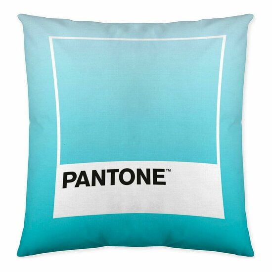 Kussenhoes Ombre Pantone Localization-B086JQ1ZM7 Omkeerbaar 50 x 50 cm 2