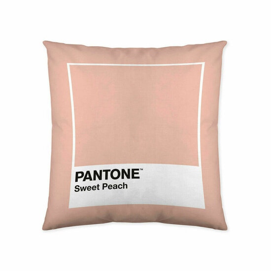 Kussenhoes Sweet Peach Pantone 50 x 50 cm 1