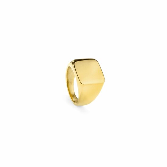 Heren ring Radiant RH000027-24 24 1