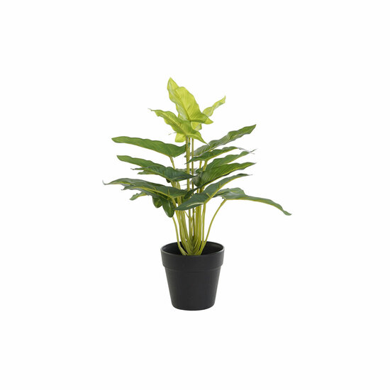 Decoratieve plant DKD Home Decor PVC Polypropyleen 25 x 25 x 30 cm 1