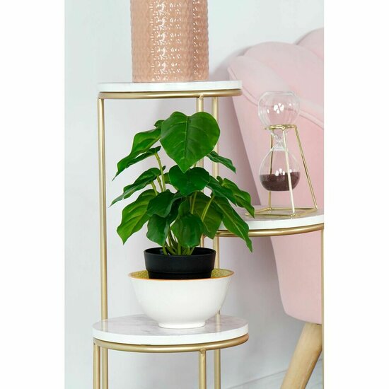 Decoratieve plant DKD Home Decor PVC Polypropyleen 20 x 20 x 30 cm 4