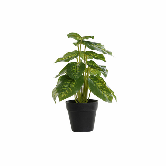 Decoratieve plant DKD Home Decor PVC Polypropyleen 20 x 20 x 30 cm 1