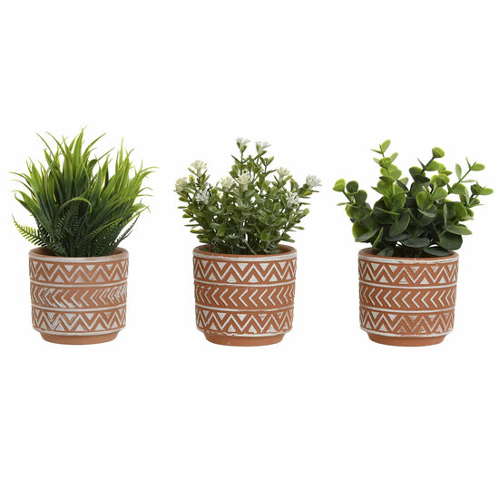 Decoratieve plant Home ESPRIT Polyethyleen Cement 12 x 12 x 17 cm (3 Stuks) 1