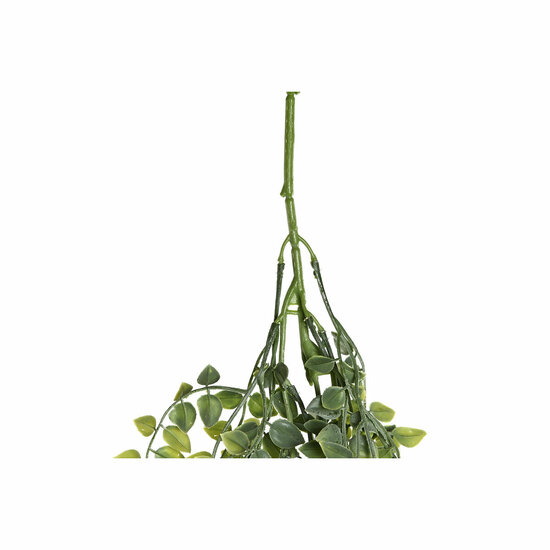 Decoratieve plant Home ESPRIT Polyethyleen Ijzer 14 x 14 x 97 cm 3