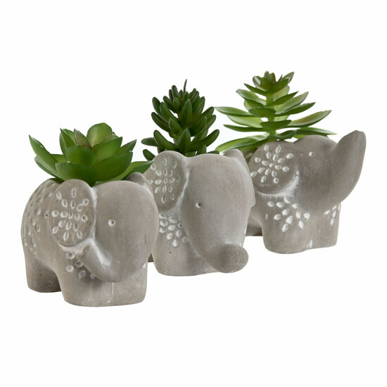 Decoratieve plant Home ESPRIT Polyethyleen Cement 8 x 5 x 7 cm (3 Stuks) 2