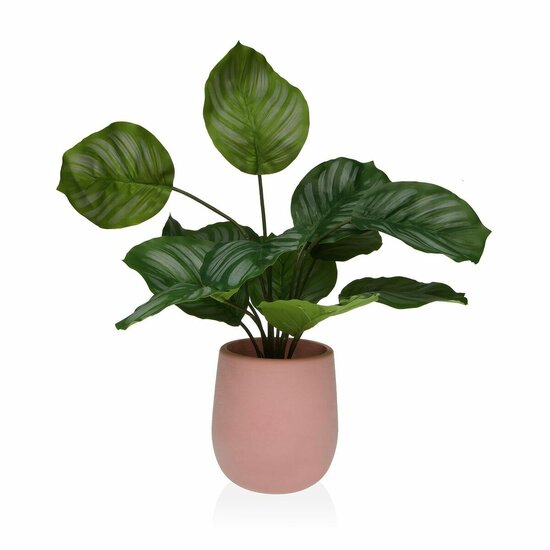 Decoratieve plant Versa 15 x 44 x 15 Cement Plastic 1