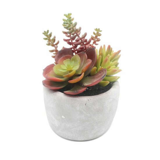 Decoratieve plant Versa Keramisch Plastic 12,7 x 15,24 x 12,7 cm 1