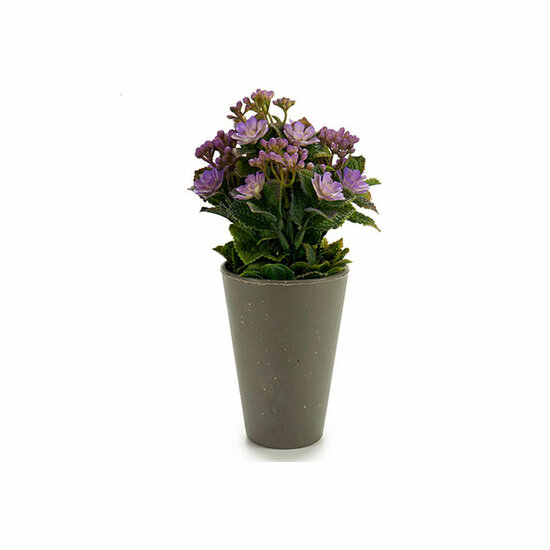 Decoratieve plant Plastic 11 x 22 x 11 cm 1