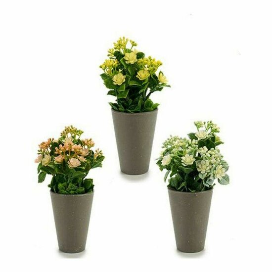 Decoratieve plant Plastic 11 x 22 x 11 cm 2