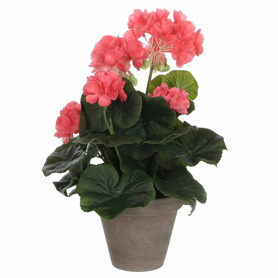 Decoratieve plant Mica Decorations PVC Geranium (11,5 x 33 cm) 1