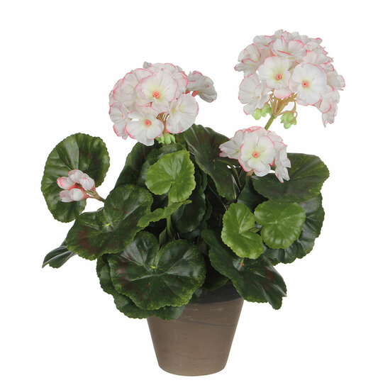 Decoratieve plant Mica Decorations PVC Geranium (11,5 x 33 cm) 1