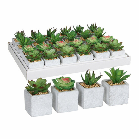 Decoratieve plant Mica Decorations 8 x 5 cm Groen PVC Vetplant 1