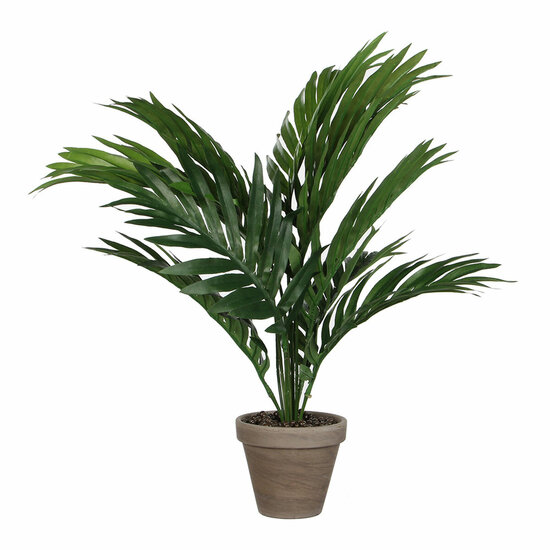 Decoratieve plant Mica Decorations 45 x 60 cm Keramisch PVC Palmboom 1