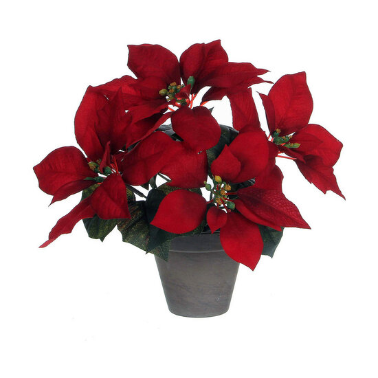 Decoratieve plant Mica Decorations Rood PVC 1