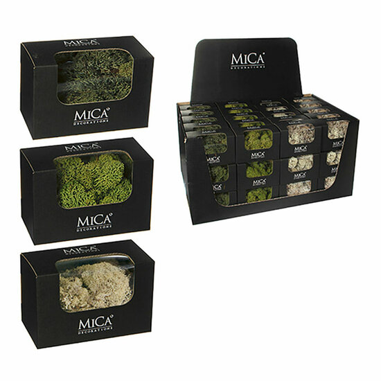 Decoratieve plant Mica Decorations 50 g Mos 1