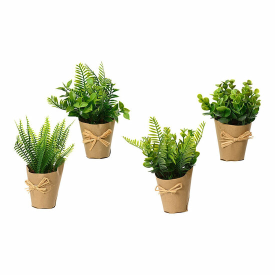 Decoratieve plant EDM 18 cm 1