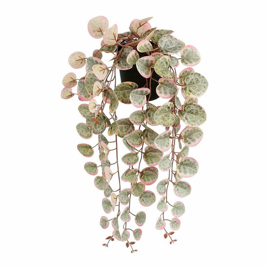 Decoratieve plant Mica Decorations Ceropegia Woodii 10 x 46 x 12 cm Kunstmatig Om op te hangen 1